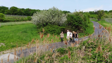 thumbnail of medium Die Region Neusiedlersee im Frühling - Bergauf Bericht
