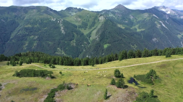 thumbnail of medium Sommer am Fanningberg - Bergauf Bericht