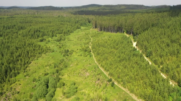 thumbnail of medium Granitpilgern